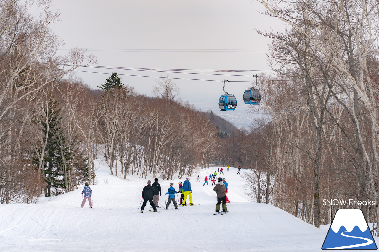 サッポロテイネ｜山頂積雪 285cm！絶好の春コンディションのゲレンデは、『アルペンスキー大会』『モーグル大会』『テイネ雪山祭り』『北海道米そり選手権2026』で大盛り上がり～(^^)v